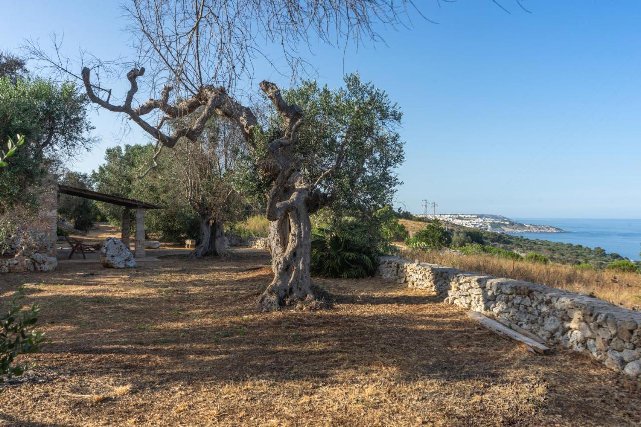 Levante E Libeccio Villette Vista Mare - Marina Di Andrano Buitenkant foto
